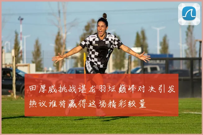 田厚威挑战谌龙羽坛巅峰对决引发热议谁将赢得这场精彩较量