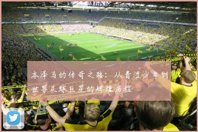 本泽马的传奇之路：从青涩少年到世界足球巨星的辉煌历程
