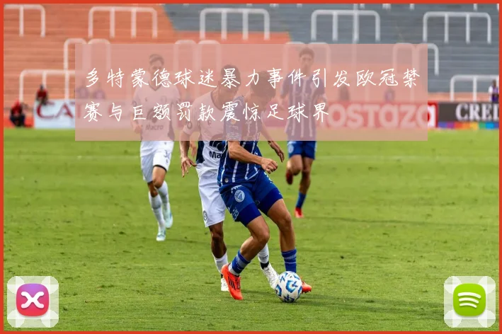 多特蒙德球迷暴力事件引发欧冠禁赛与巨额罚款震惊足球界